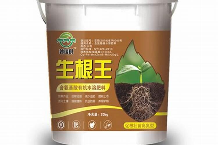 落地生根怎么施肥