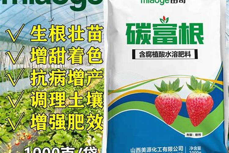 辣椒苗期发生叶面肥害有哪些表现？发生肥害后怎么办？