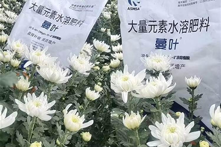 现在施肥是施水溶肥好还是复合肥好,肥料的含量应该选怎样的含量比例来好...