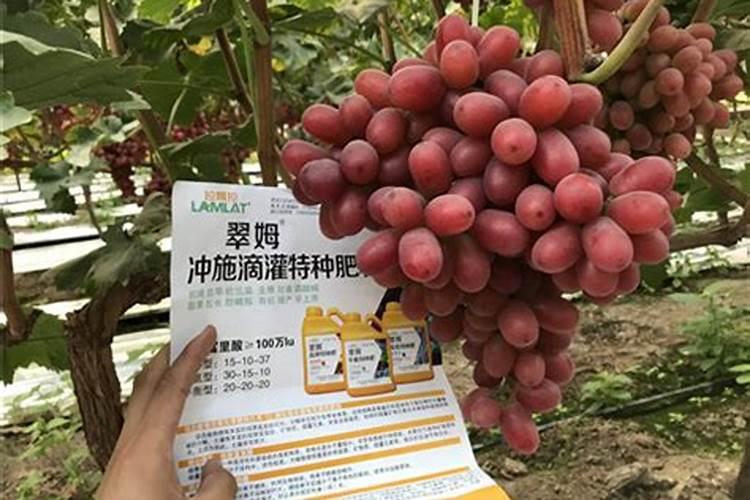 尿素和氯化铵哪种肥料容易使钙离子流失 尿素肥的作用