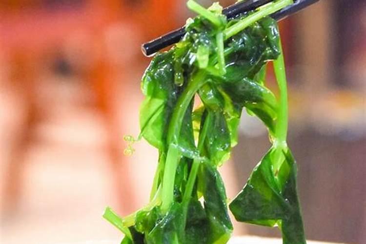 水上种菜水下养鱼技术