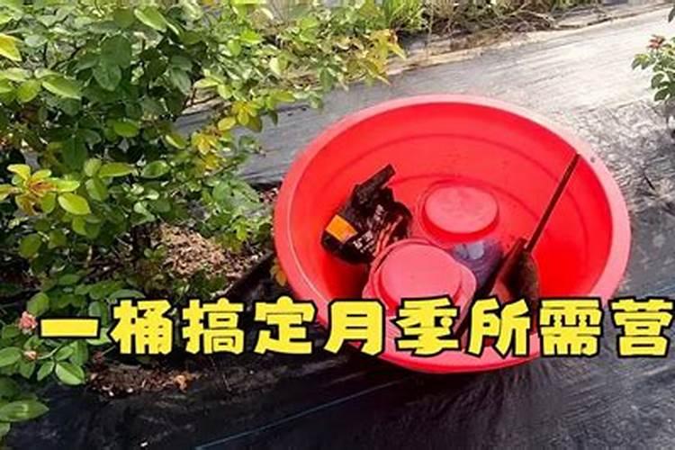 硝酸钾施肥后几天见效
