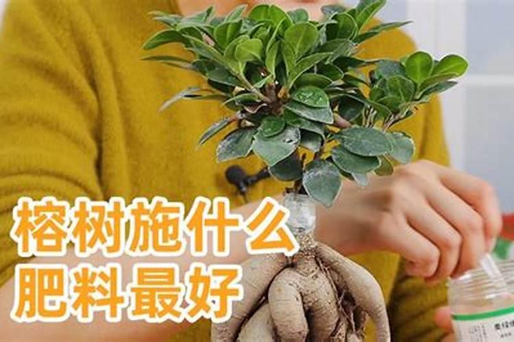 钾肥有哪些种类 钾肥的功效和使用方法