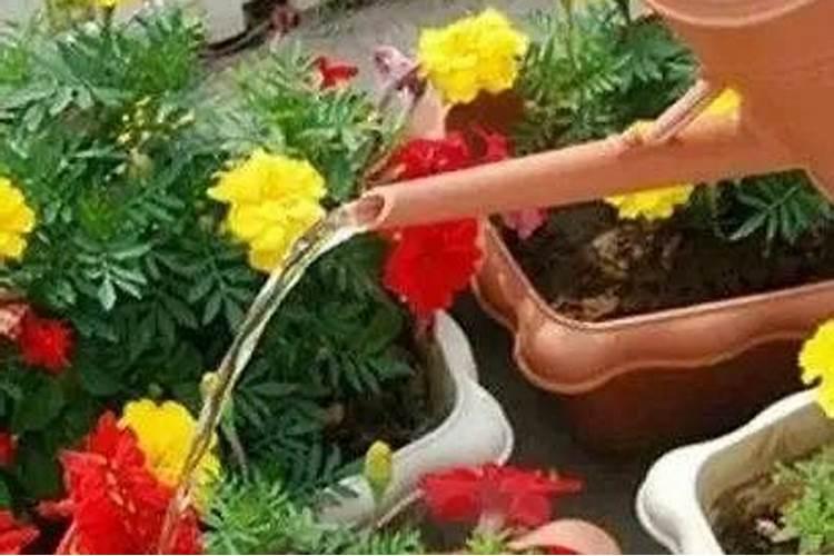 钾肥如何使用在花上