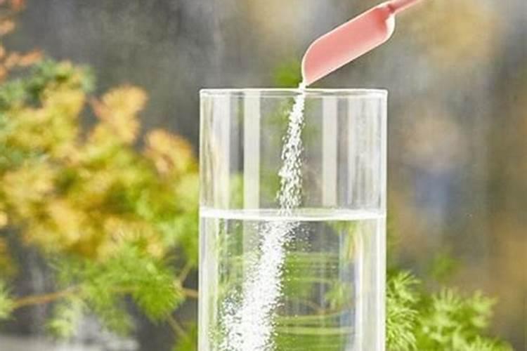 李子树在高温干旱季节,该怎么浇水和施肥？