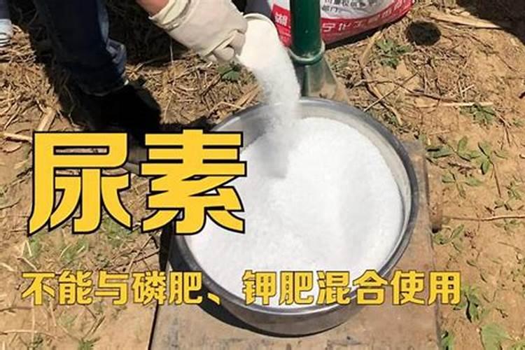 BB肥+二胺+钾肥+大颗粒尿素 混拌为什么会融化？