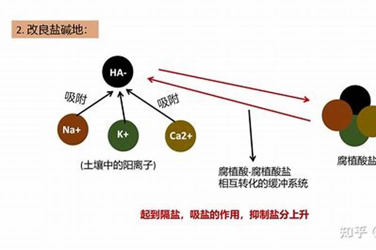 大量元素水溶肥兑腐殖酸水溶肥有冲突吗？