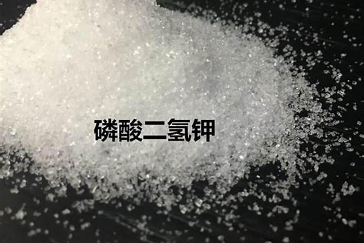 西红柿用什么肥料好