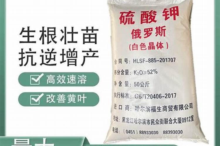 广柑什么时候成熟