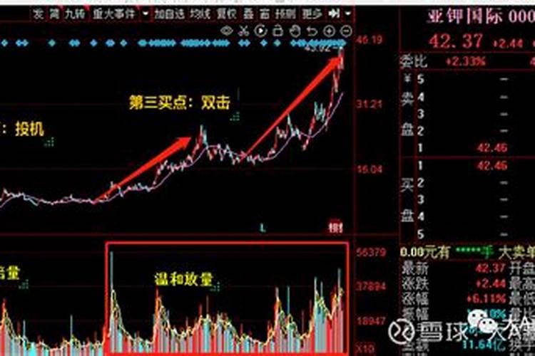 桔子树的种植技术
