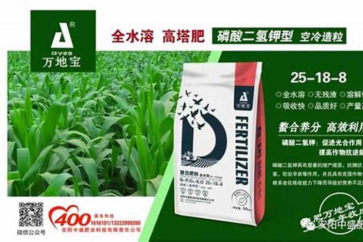 冬天苹果树上打石硫合剂水剂能防寒嘛？