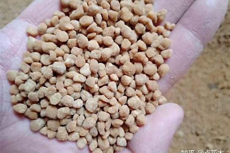 铵态氮和氨氮有什么区别？