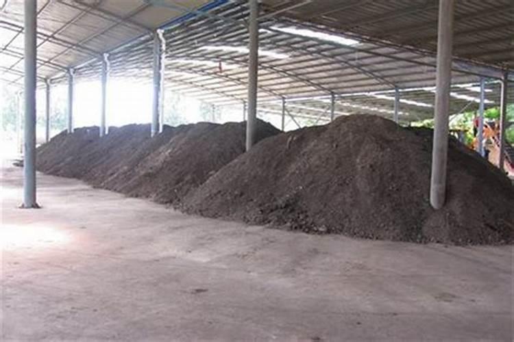 芒果催花方法 应使用什么药