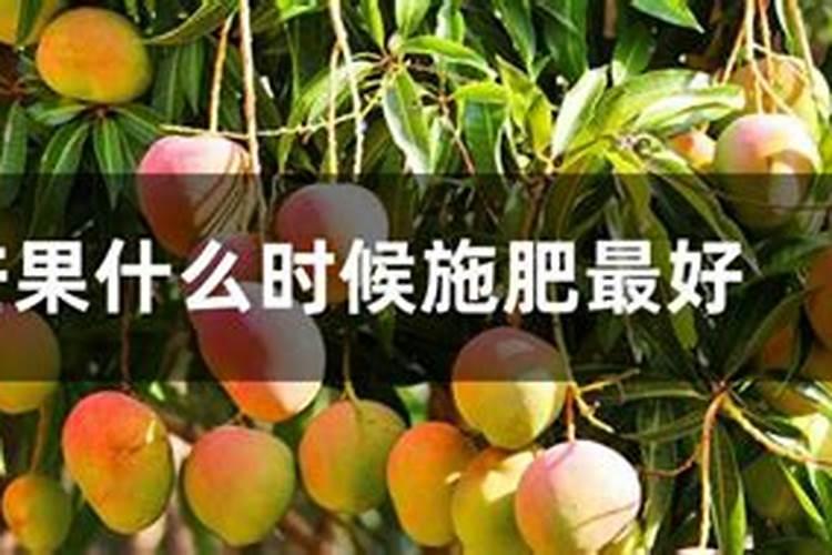 植物如何发根