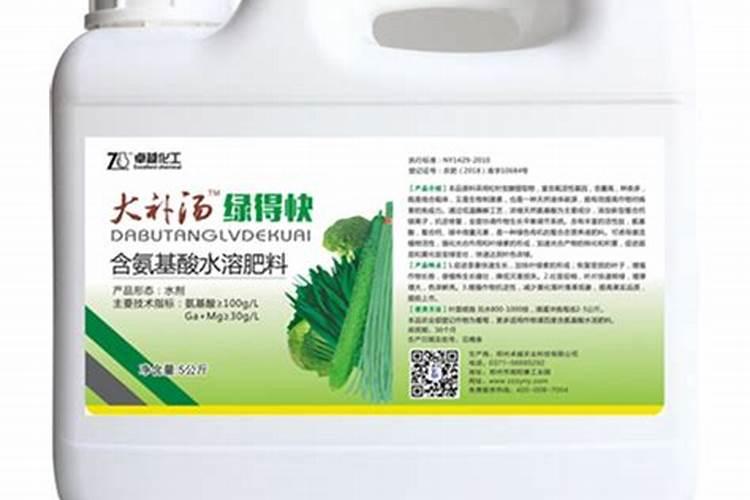 砍头多肉多久发根 人体的头部与生命力的关系？