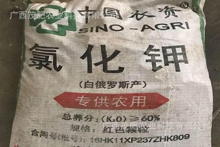 什么牌子的玉米专用肥最好？