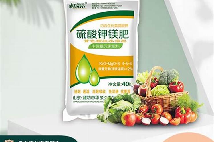 无花果树怎么结果多