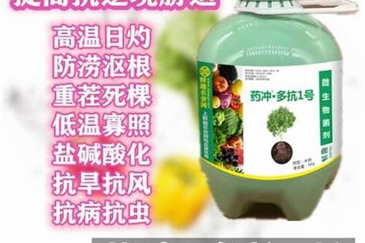 湖北金正大肥料怎么样