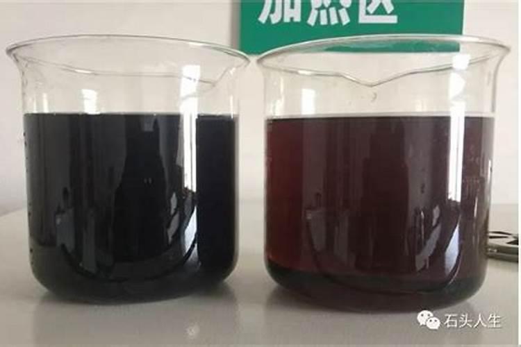 小球藻在家怎么培养