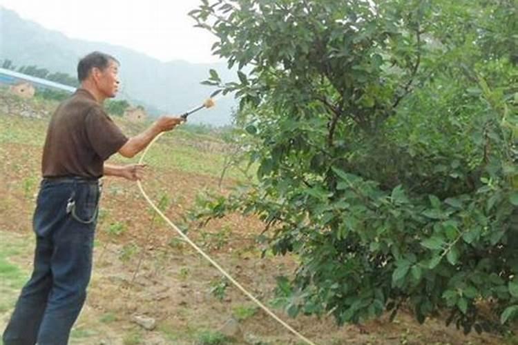 普通水桶一桶水多少斤
