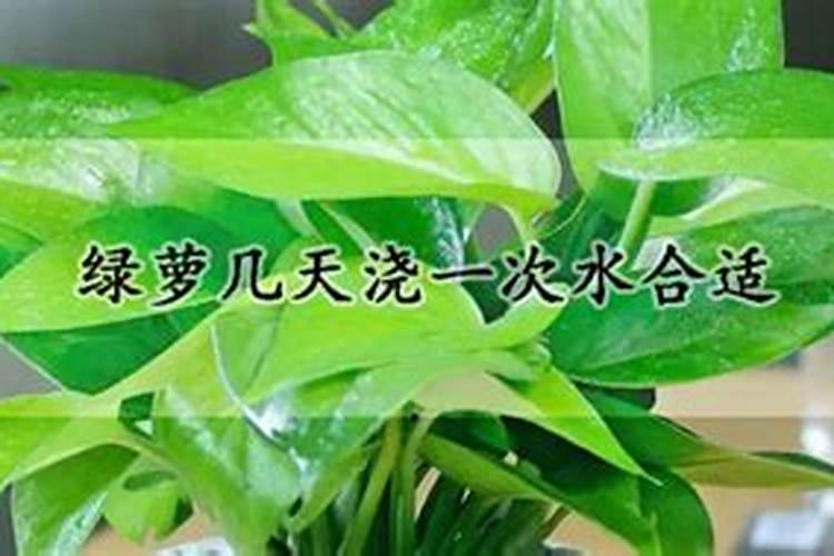 黄瓜种子几天发芽出土