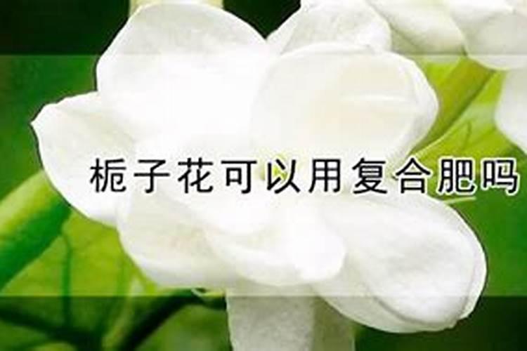 土地板结最快解决方法