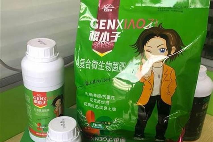 种植中药材,为什么要科学施肥