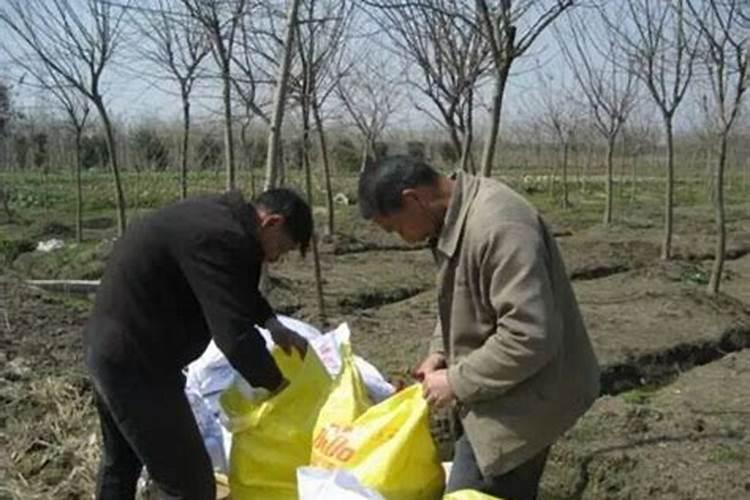 颗粒水溶肥可以冲施药材吗？