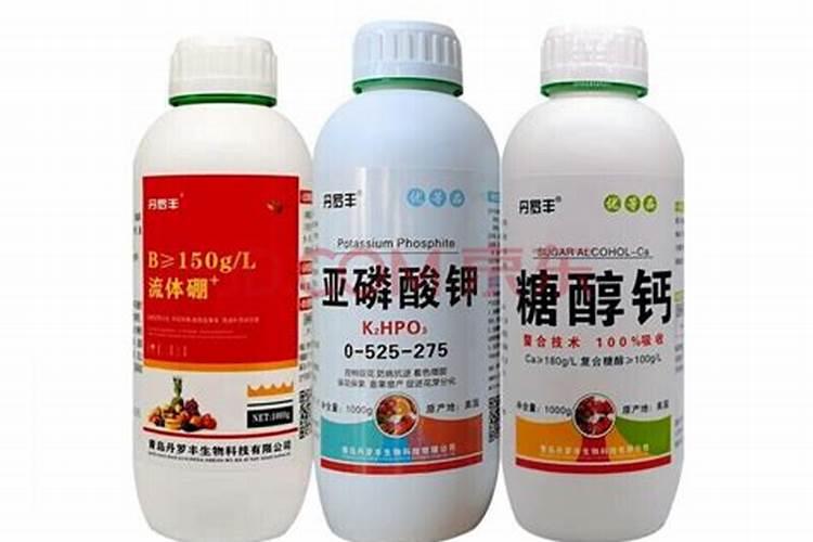 温室油桃上市早,花果期如何管理可以实现产量高、质量好？