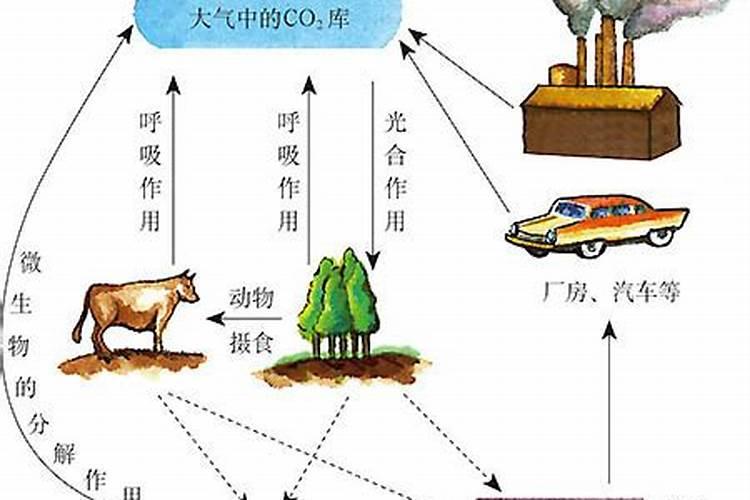鸡蛋壳加白醋发酵几天能成钙肥？