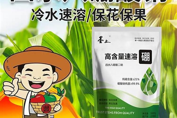 草莓施肥时间和方法