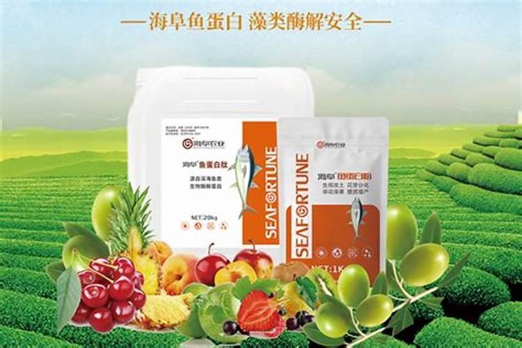 草莓施肥时间和方法