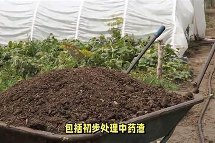 自己如何制作花肥化肥在家怎么制作