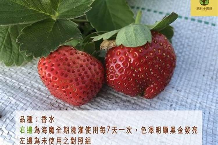 磷钾肥一般指什么肥