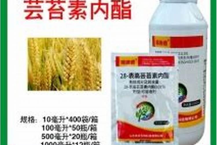 北五味子花期施肥管理方法 如何在北五味子花期施肥