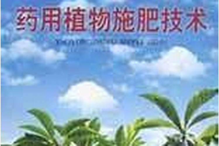根瘤菌固氮原理是什么？