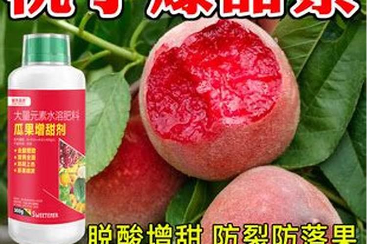 鱼旦白一生植物用几次？