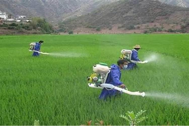 磷酸二氢钾跟钙肥 硼肥可以混用吗？