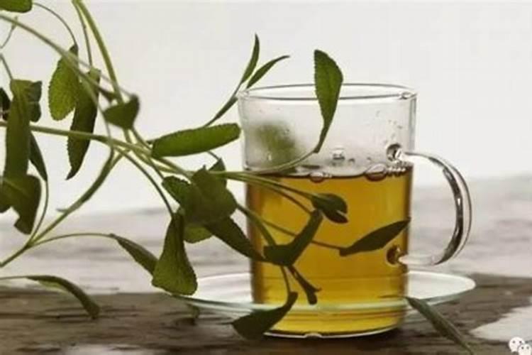茶叶水可以浇茶花树吗