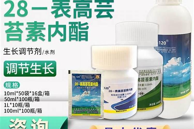 芸苔素内酯玉米可喷几次 几叶时可以使用