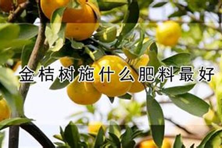 肽安娜的鱼胶原蛋白肽怎么样,有人知道吖
