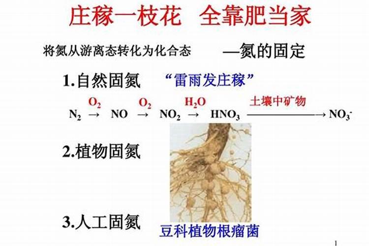 氮肥常见施用方法,氮肥施用九个“不宜”