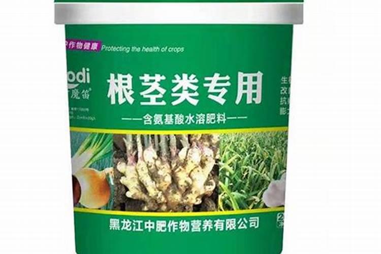 幸福树怎么施肥,幸福树施什么肥好
