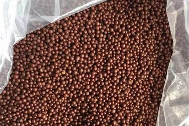 蔬菜大棚区用什么底肥比较好？