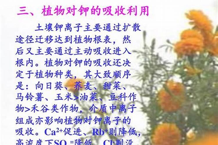 当水田处于淹水期时,不适合施用的氮肥是哪一种
