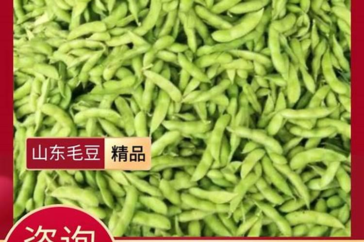 水稻返青肥用什么肥好