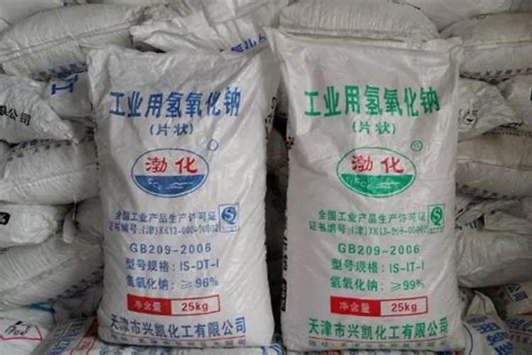 贝母什么根系？什么状叶脉？