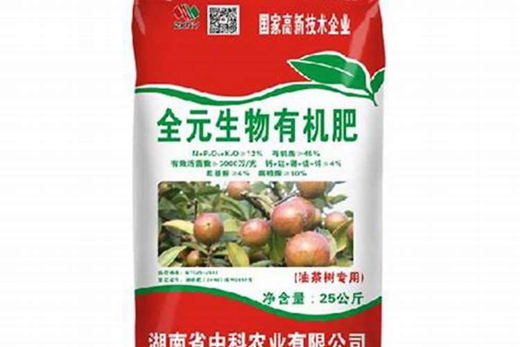 油茶一亩需要投资多少,一亩油茶一年赚多少