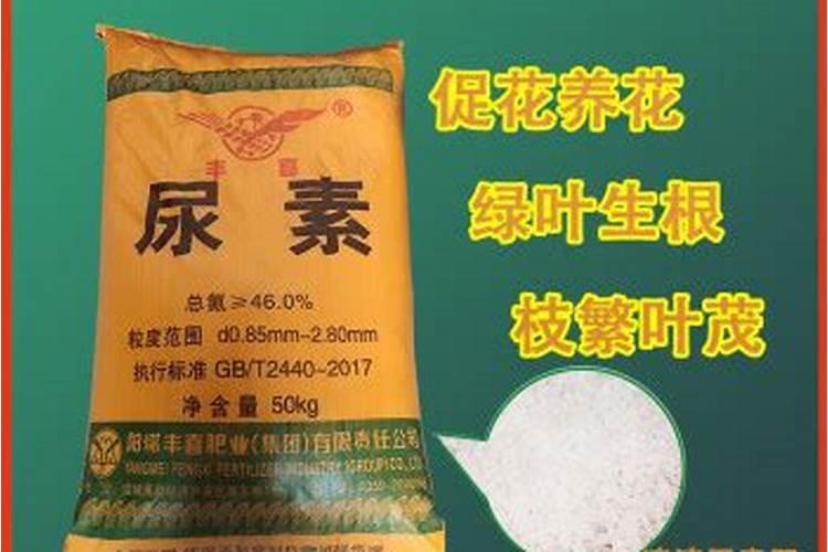 雷迪:挪威水溶肥是进口吗