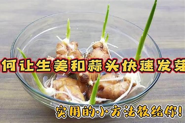 冲施肥过量的危害